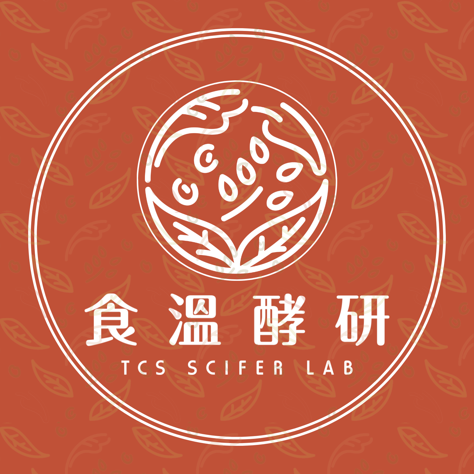 Week of 17–23 November 2025 (USA)