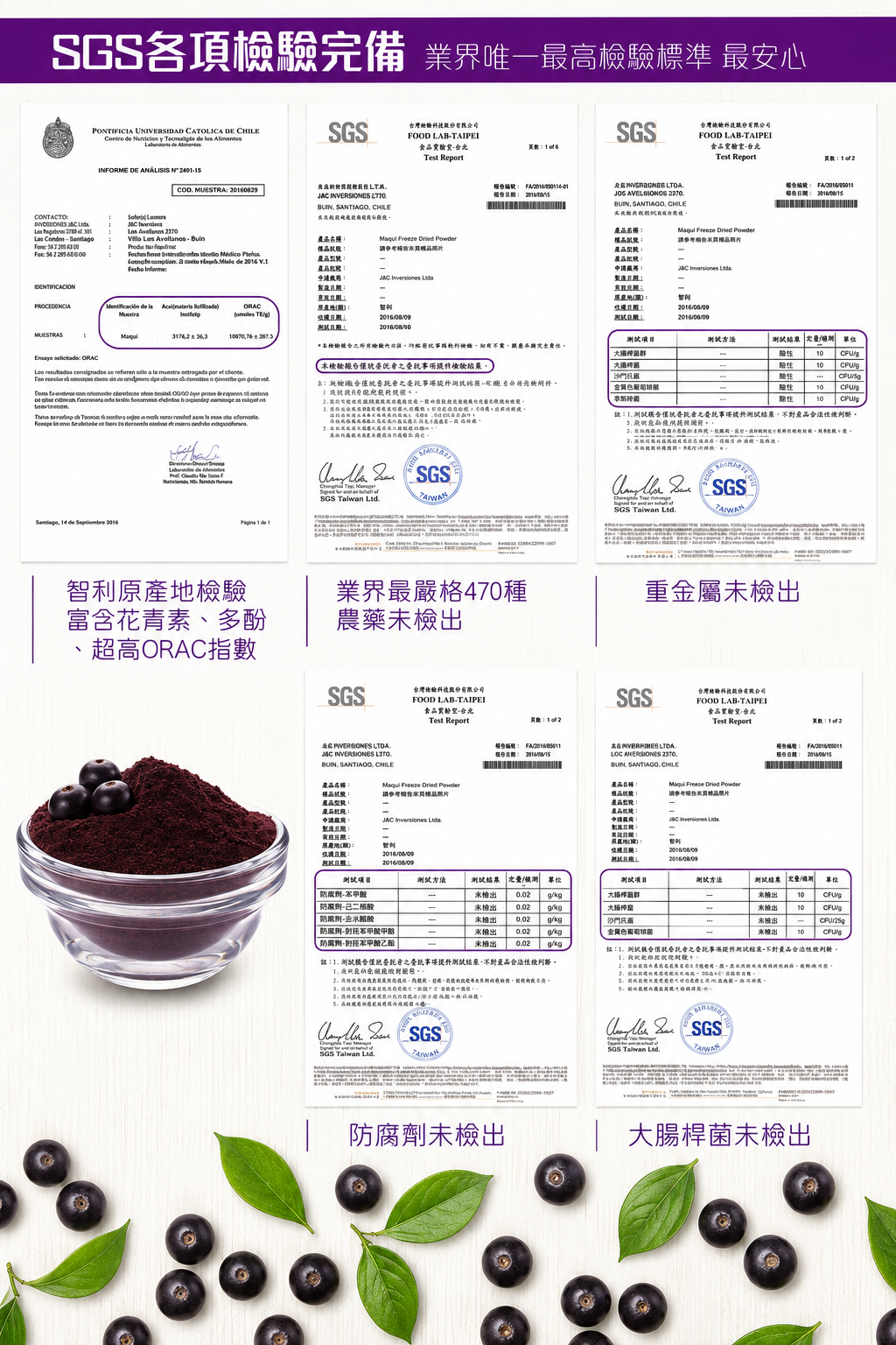 馬基莓粉05.png