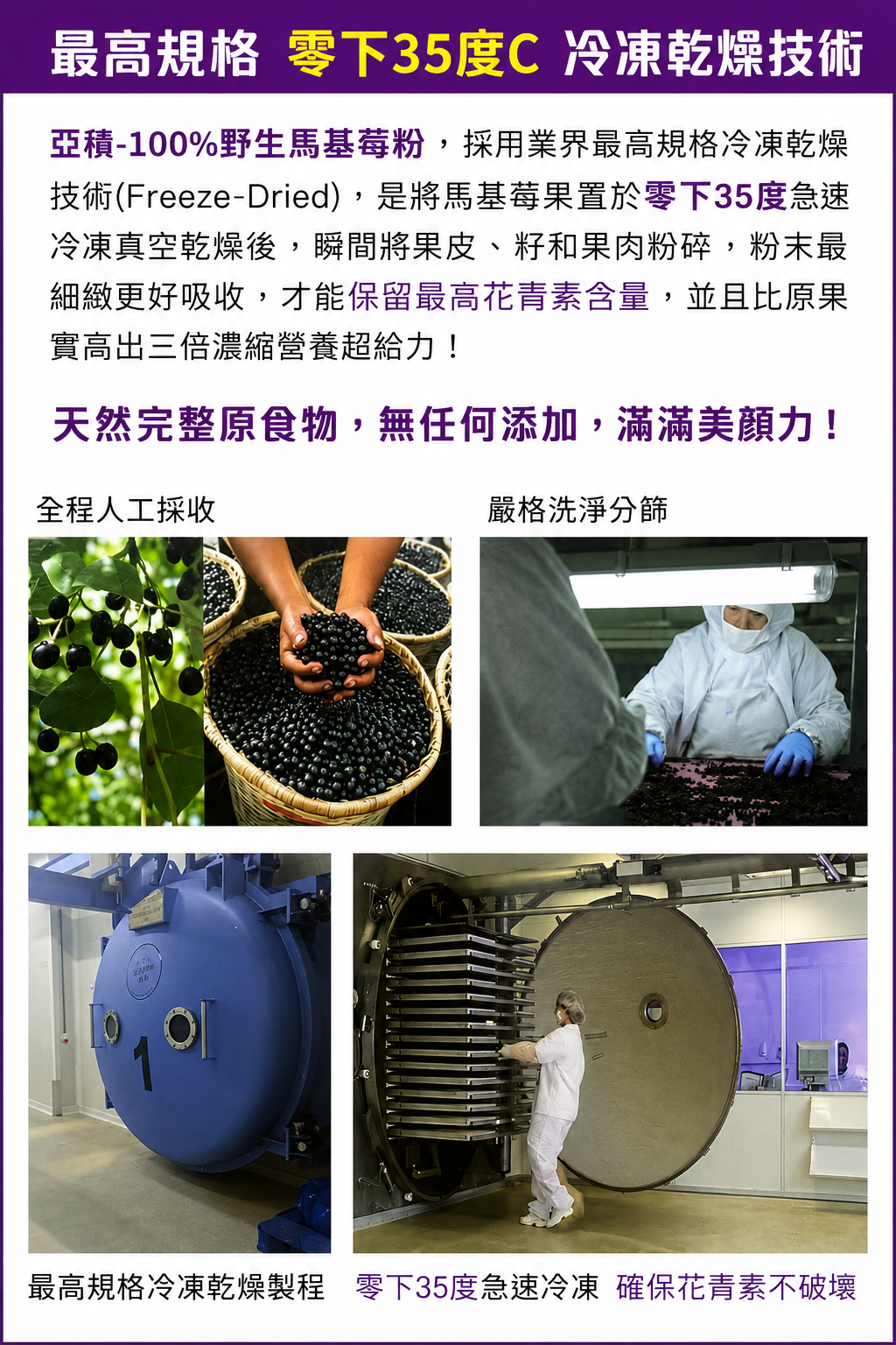 馬基莓粉04.png