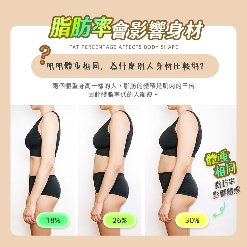 【UTA鴻嘉源】【2026旗艦款】八電極 智慧型體脂計 30項數據分析 精準測量 藍芽連接APP 體重計 體脂秤 減脂健身必備 (BF-1)6