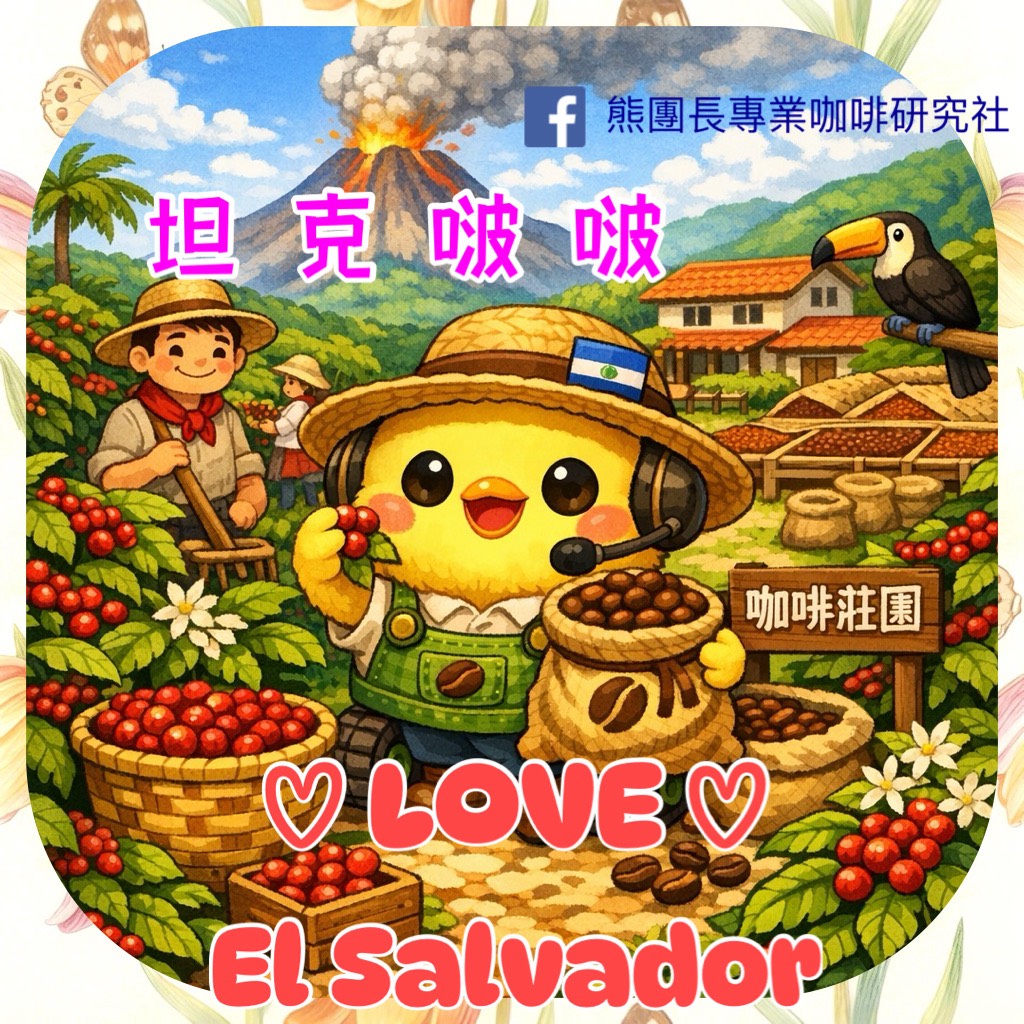 百寶箱|熱銷款精選500克小包裝咖啡生豆專區 (花開富貴)6