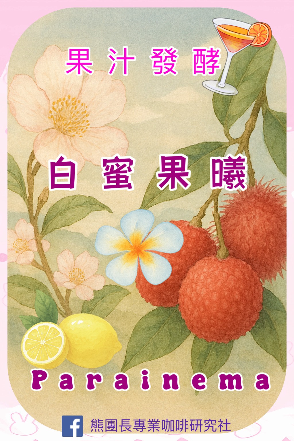 《品種大師咖啡:尼加拉瓜 高原莊園 果汁發酵處理🍹 Parainema 水洗咖啡:🍑白蜜果曦✨》 《品種大師咖啡:尼加拉瓜 高原莊園 果汁發酵處理🍹 Parainema 水洗咖啡:🍑白蜜果曦✨》