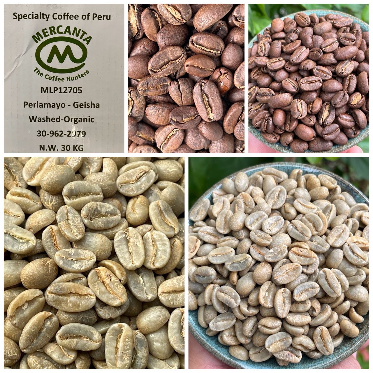 歡慶母親節優惠咖啡|祕魯+衣索比亞 藝伎Geisha 咖啡熟豆 買一送一大優惠6