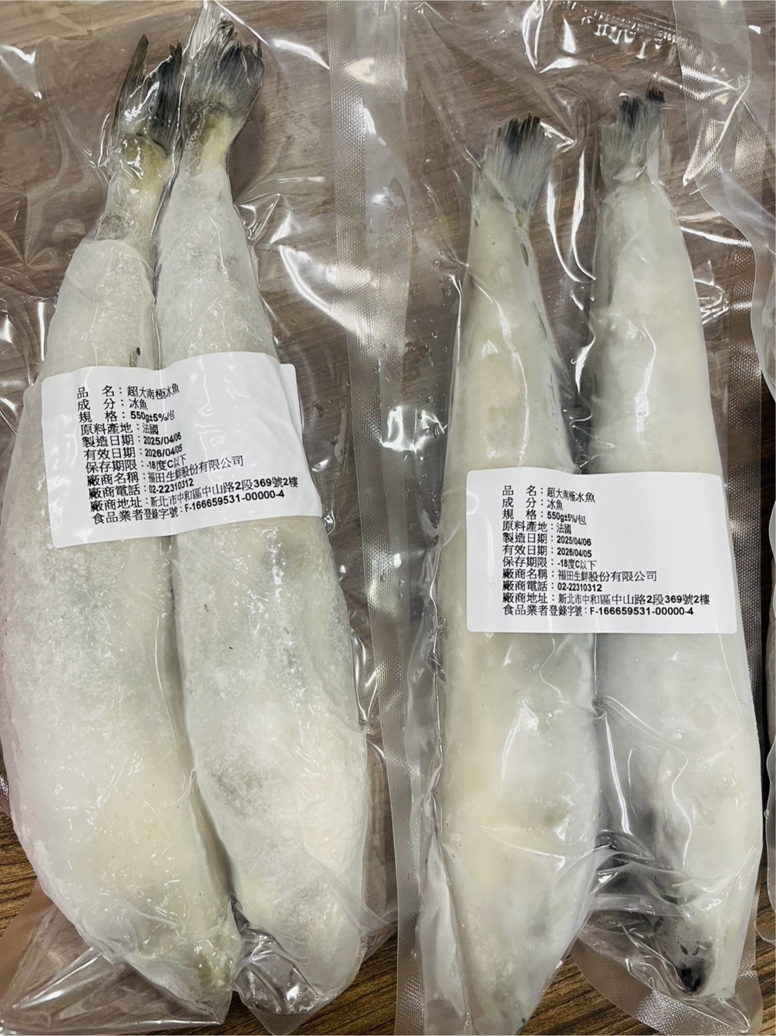 超大南極冰魚13