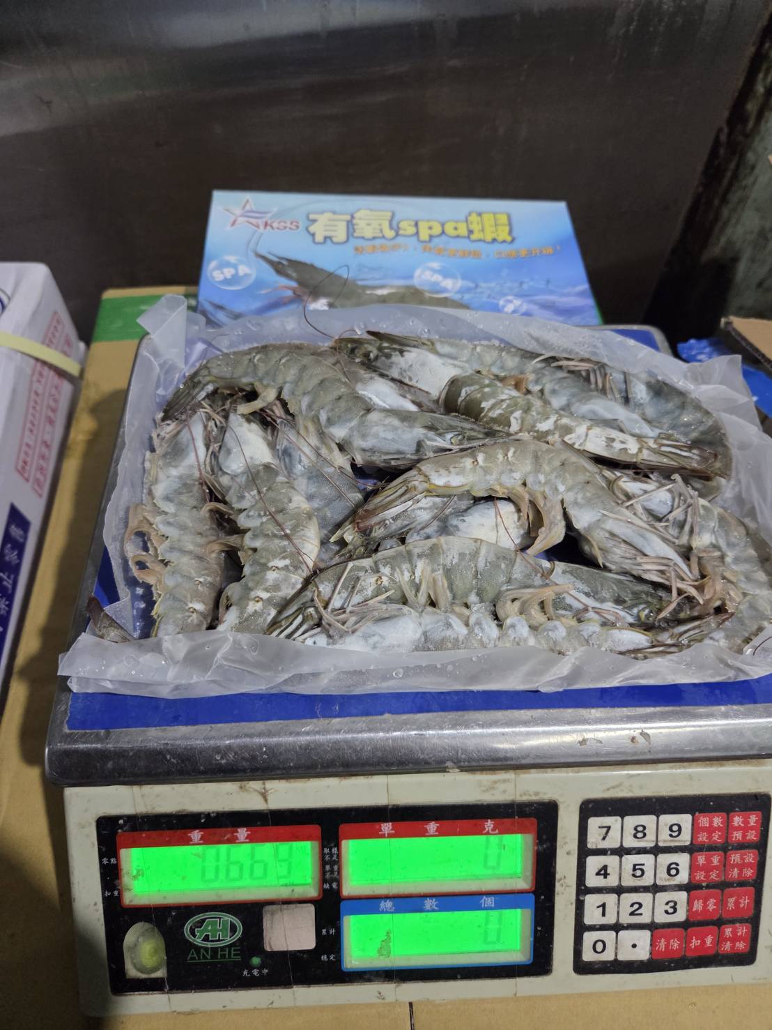 頂級有氧Spa大白蝦3