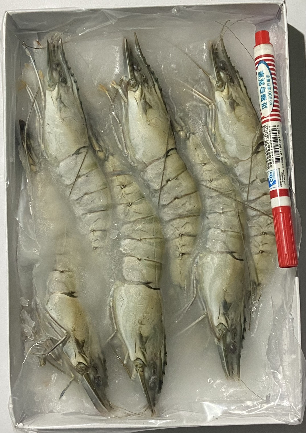 嚴選馬來活凍海老草蝦6P17