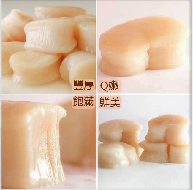 生凍海灣貝柱9