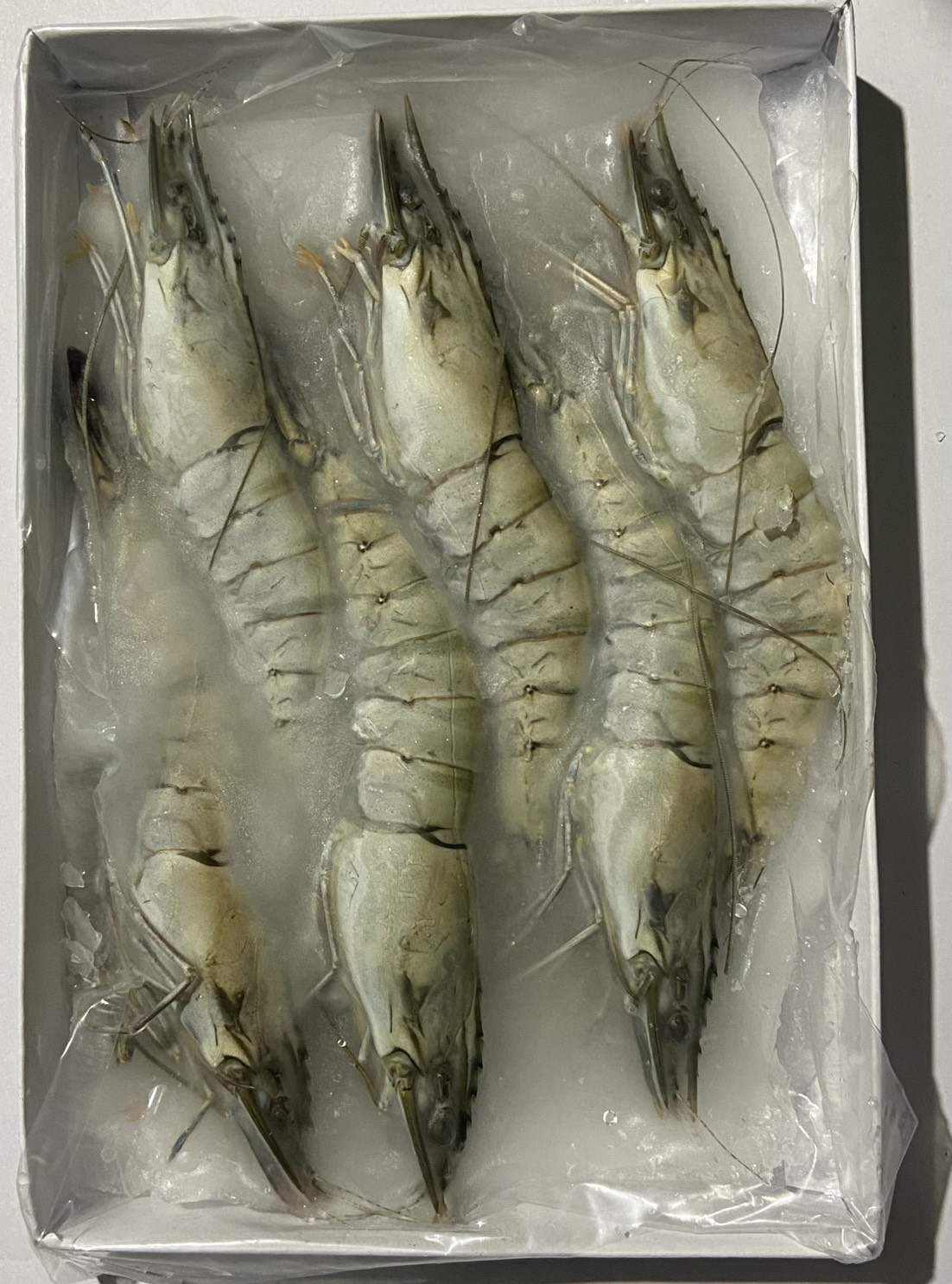 嚴選馬來活凍海老草蝦6P18
