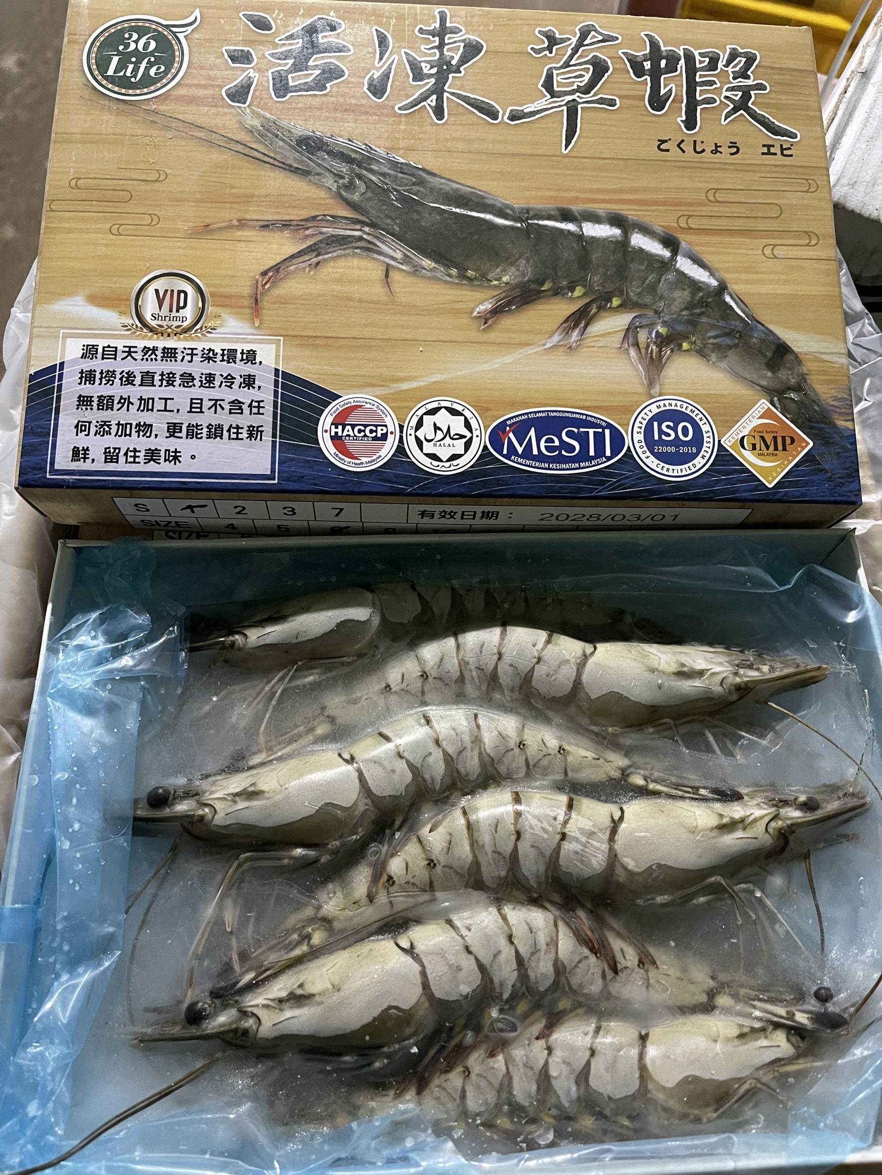 馬來西亞36Life活凍草蝦11