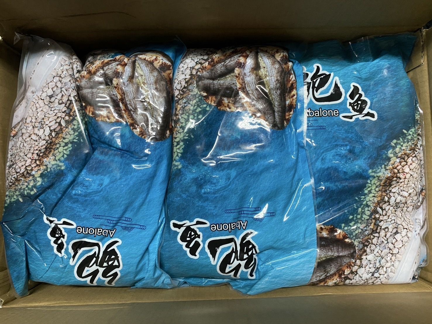 活體急速冷凍半殼鮑魚26~30P8