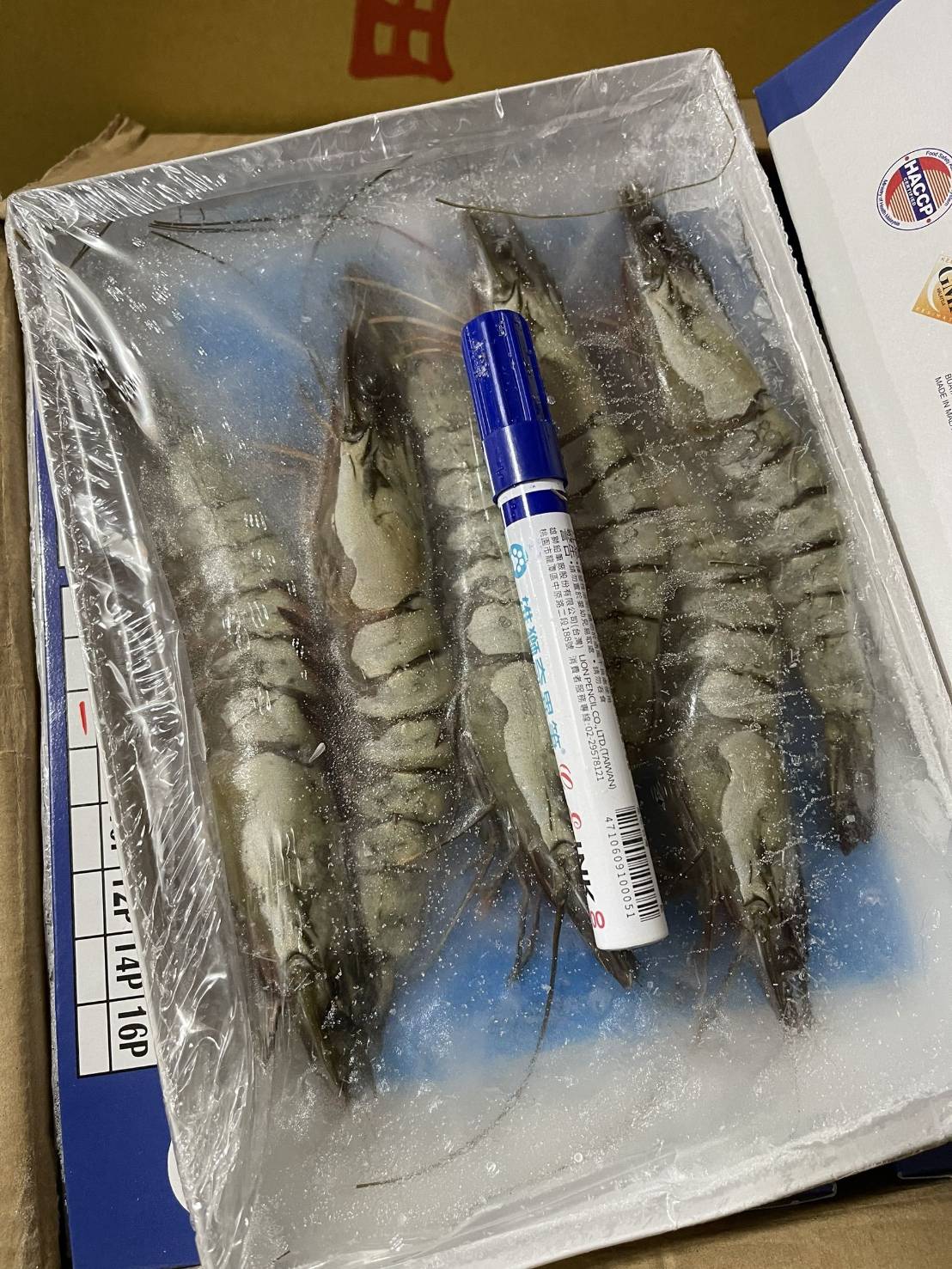 YES大尾6P海草蝦5