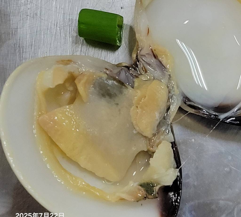 現流台南七股文蛤11