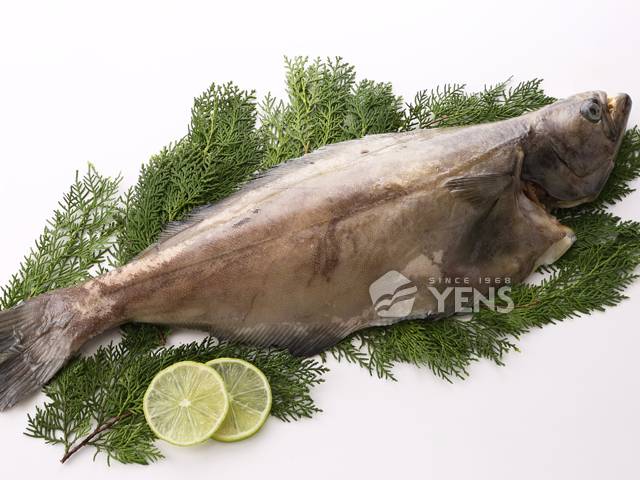 格陵蘭大比目魚 格陵蘭大比目魚