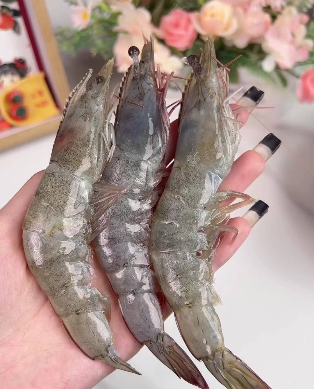巴拿馬LUCAS活凍生白蝦5
