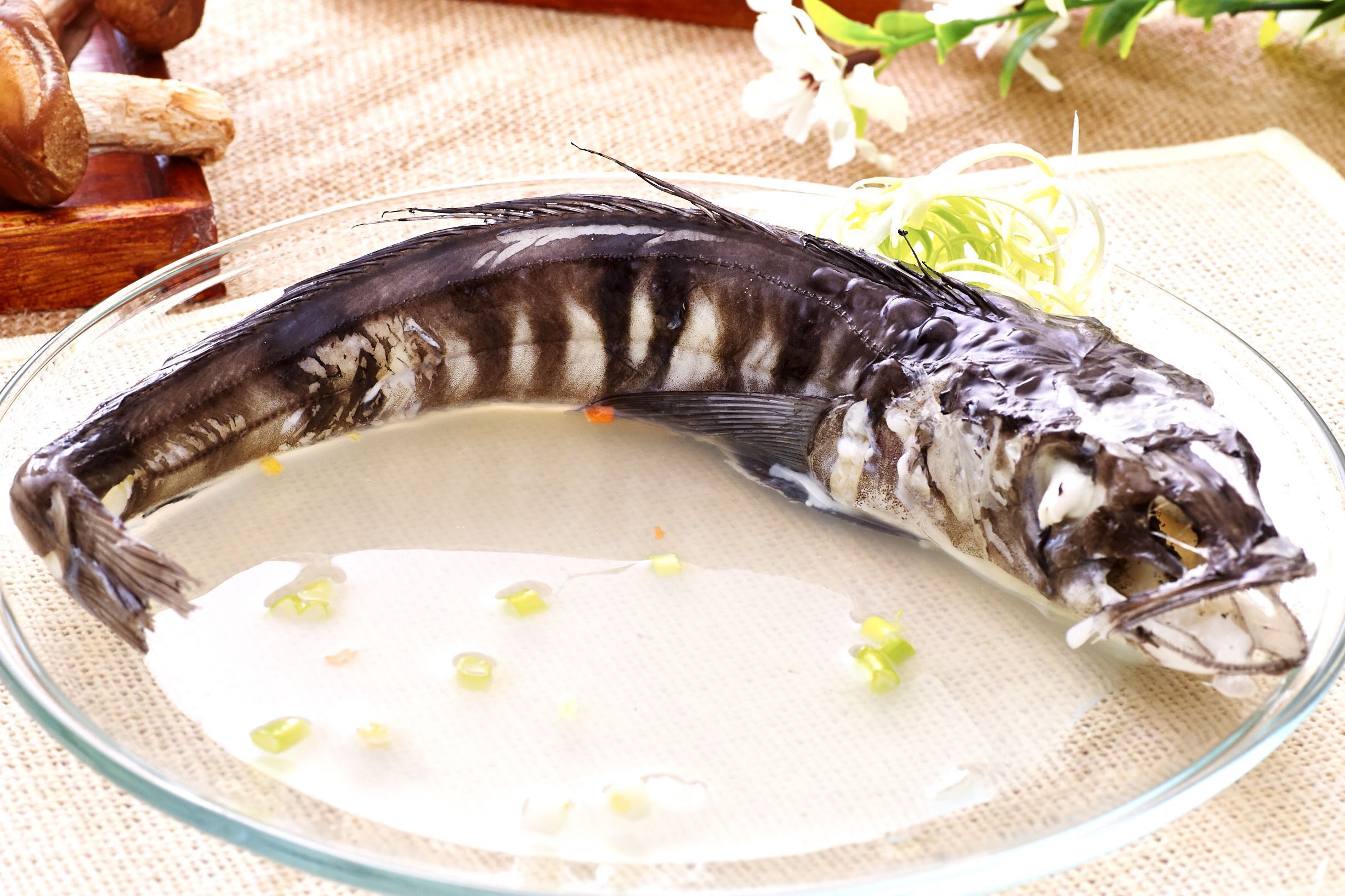 超大南極冰魚3