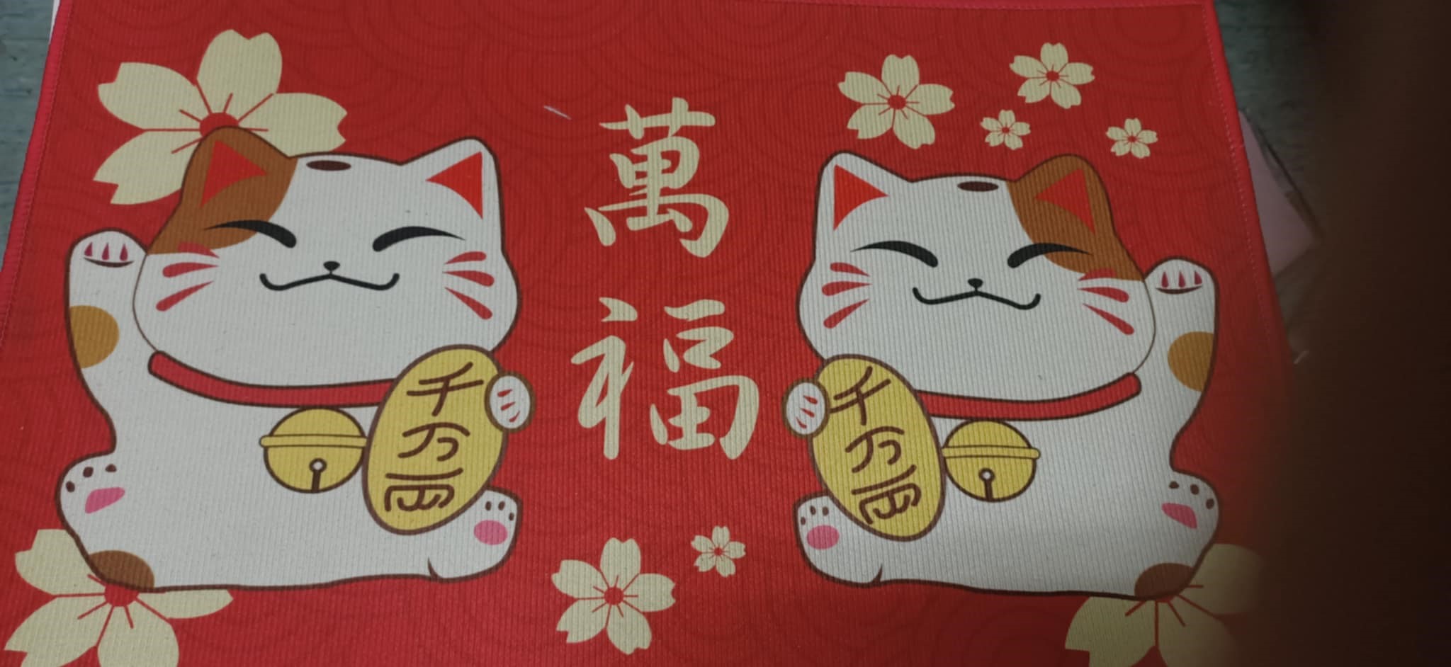 (現貨)防滑可愛踏墊