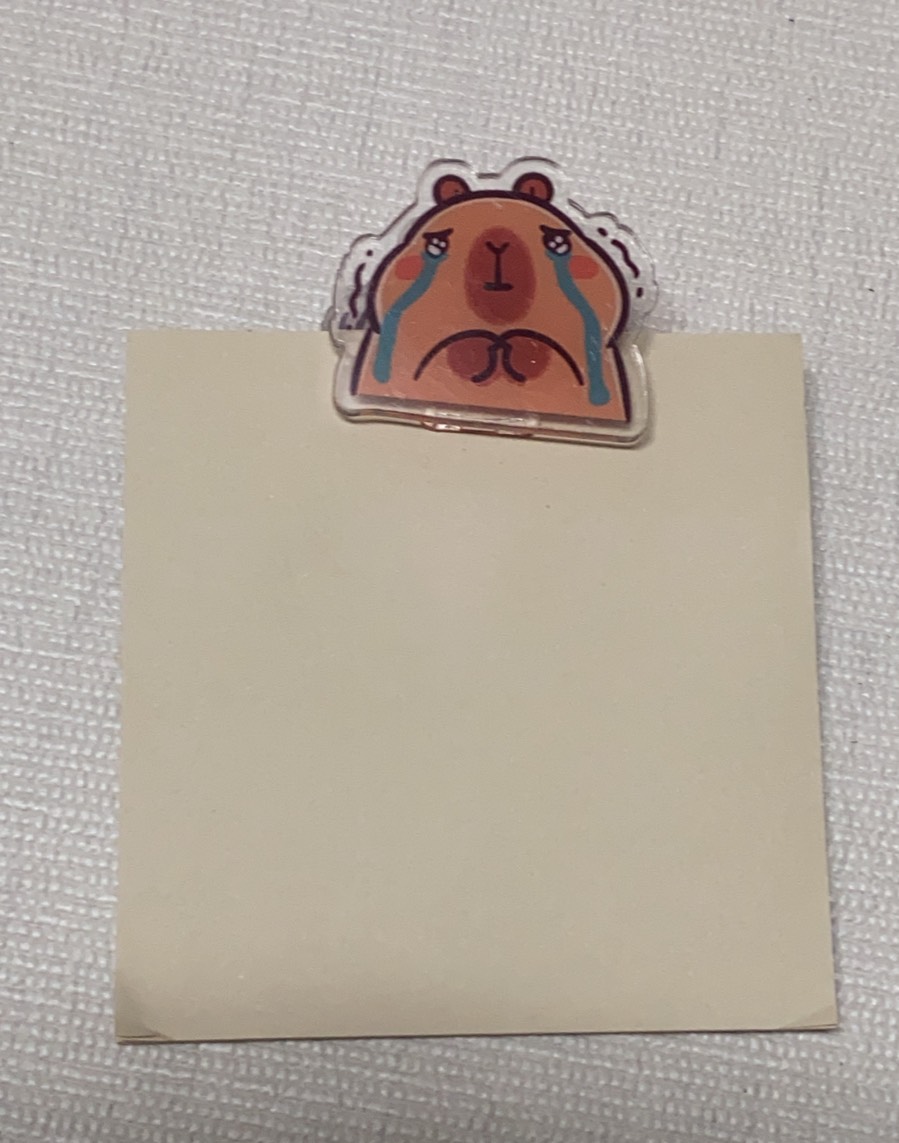 卡皮巴拉創意文件夾