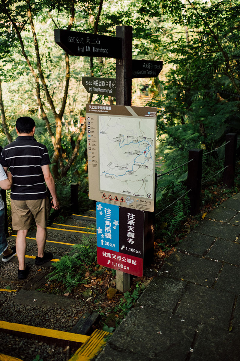20210420_土城桐花公園-14.jpg