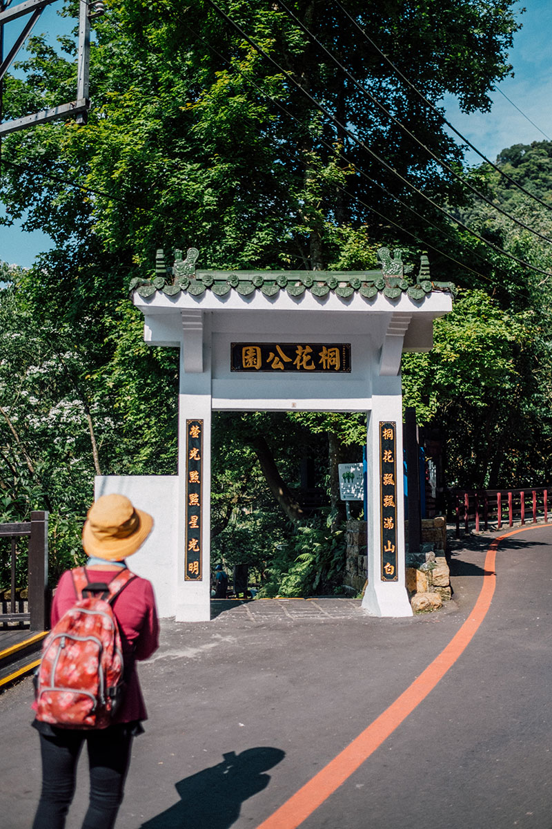 20210420_土城桐花公園-8.jpg
