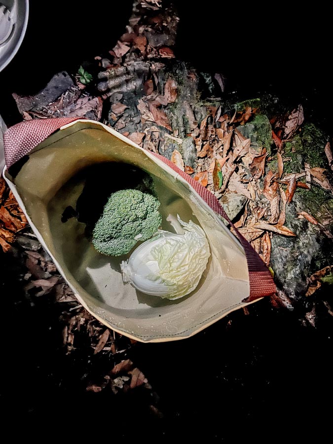 在嘎拉賀野溪溫泉的營地煮晚餐 在嘎拉賀野溪溫泉的營地煮晚餐