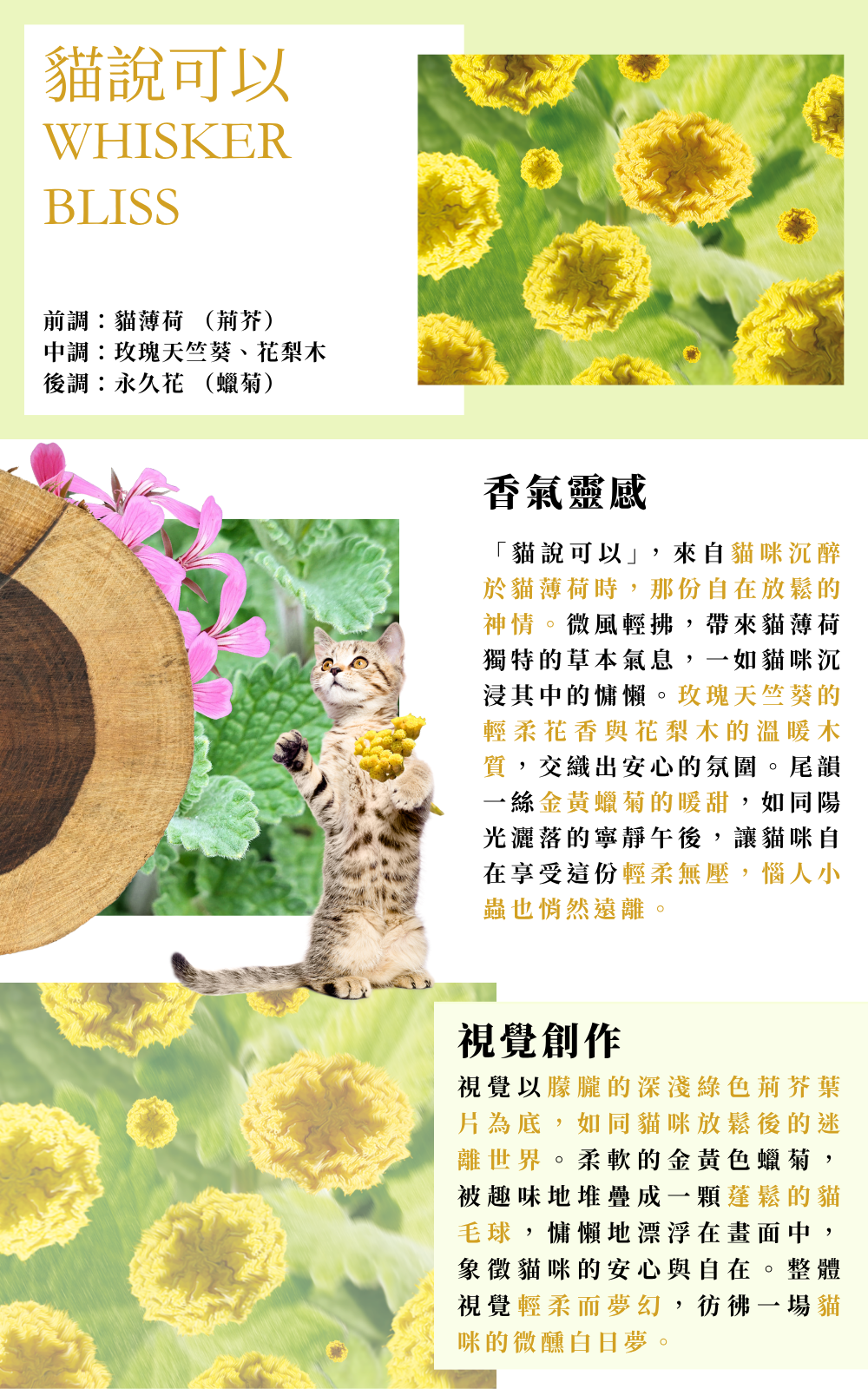 複方薰香油10ml|貓說可以 Oil Burner Blend 10ml|Whisker Bliss5