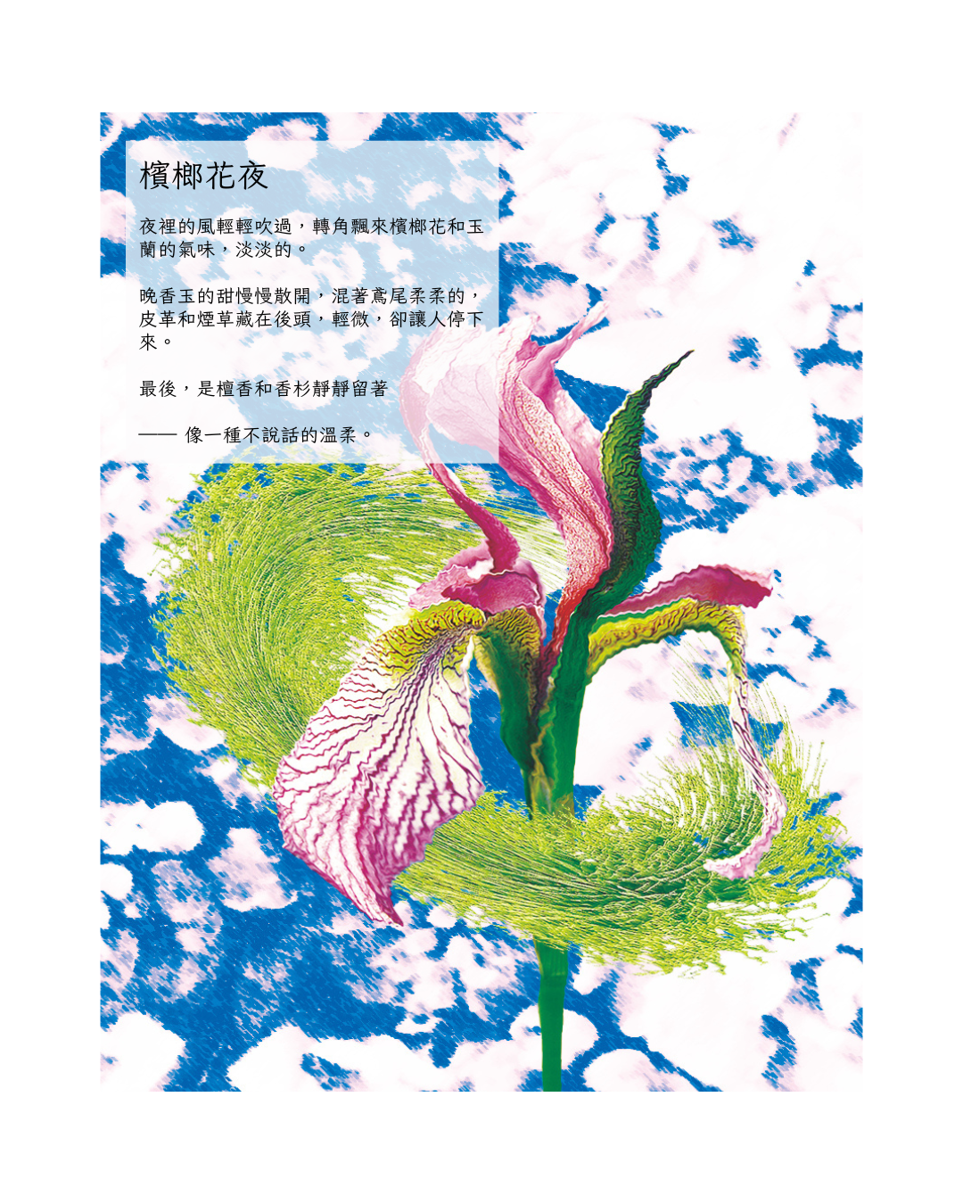 《檳榔花夜 Betel Blossom Night｜在氣味中遇見一場不說話的溫柔》
