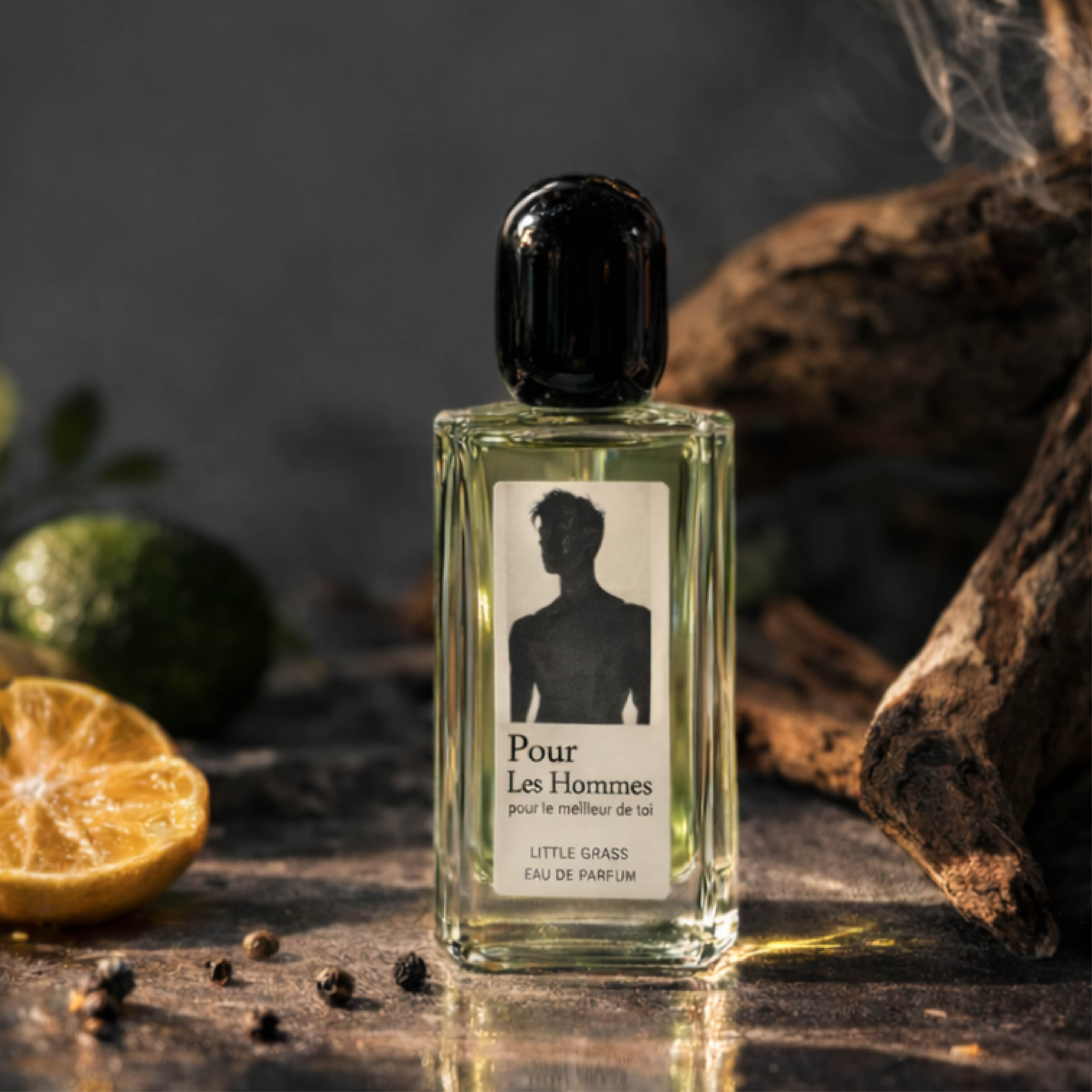 ChatGPT Image 2026年3月9日 下午03_48_06-01.jpg