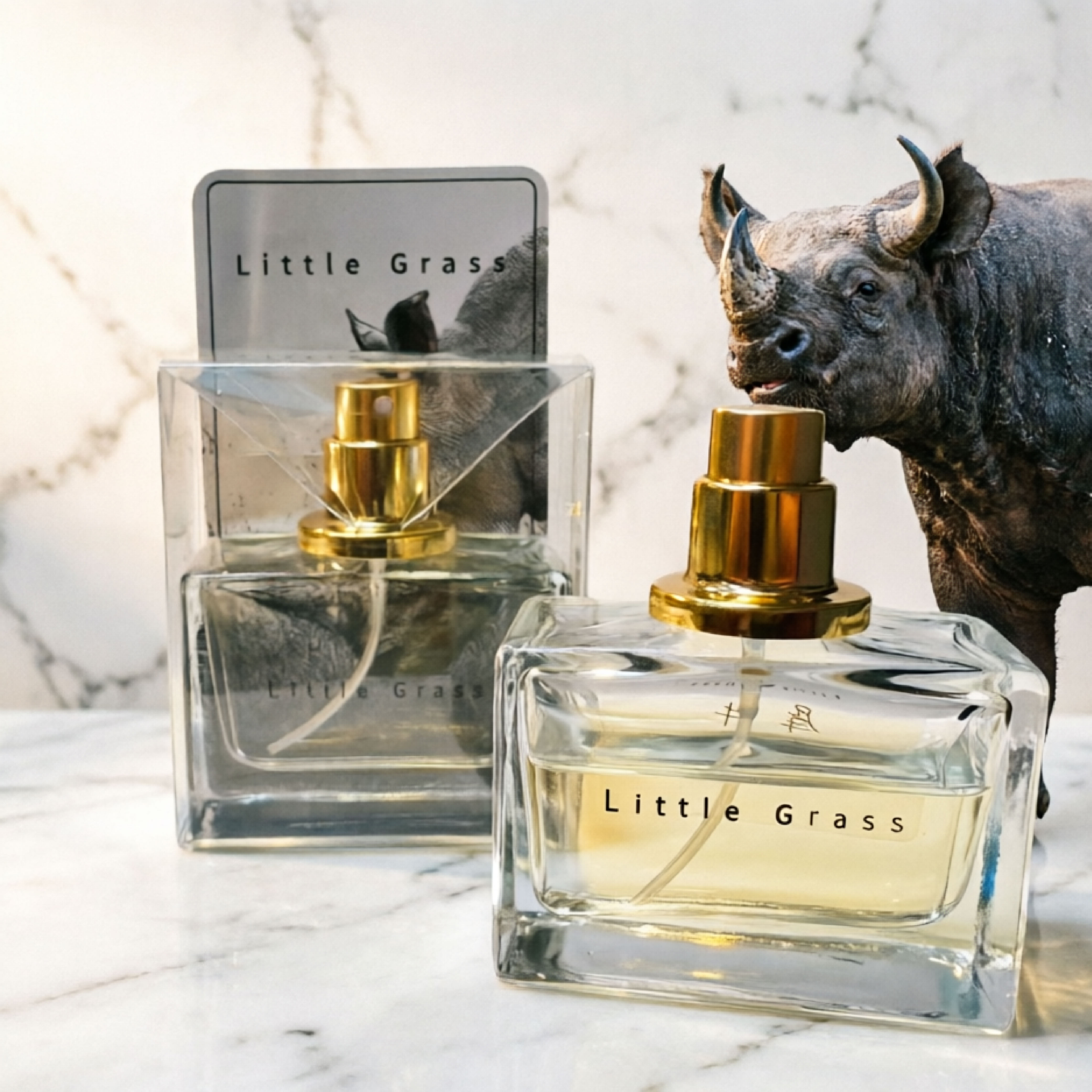 PR750(似可怕的泰迪 (犀牛))-01-01.jpg