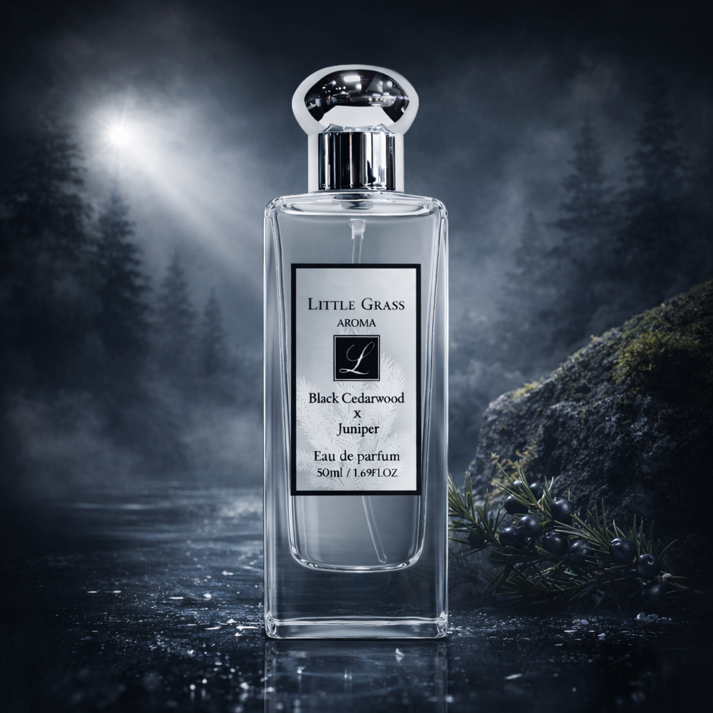 ChatGPT Image 2026年3月20日 下午02_46_18.png