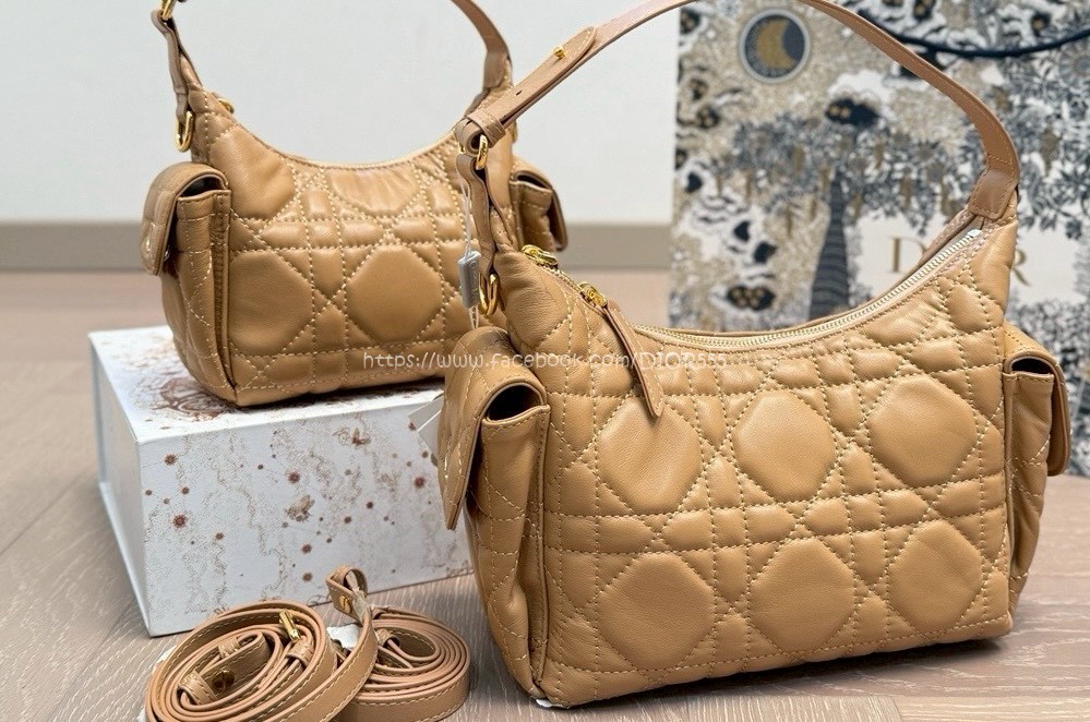 Dior腋下包 Dior腋下包