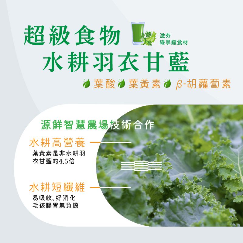 hojja賀家 台灣米其林貓主食罐 80g/165g3