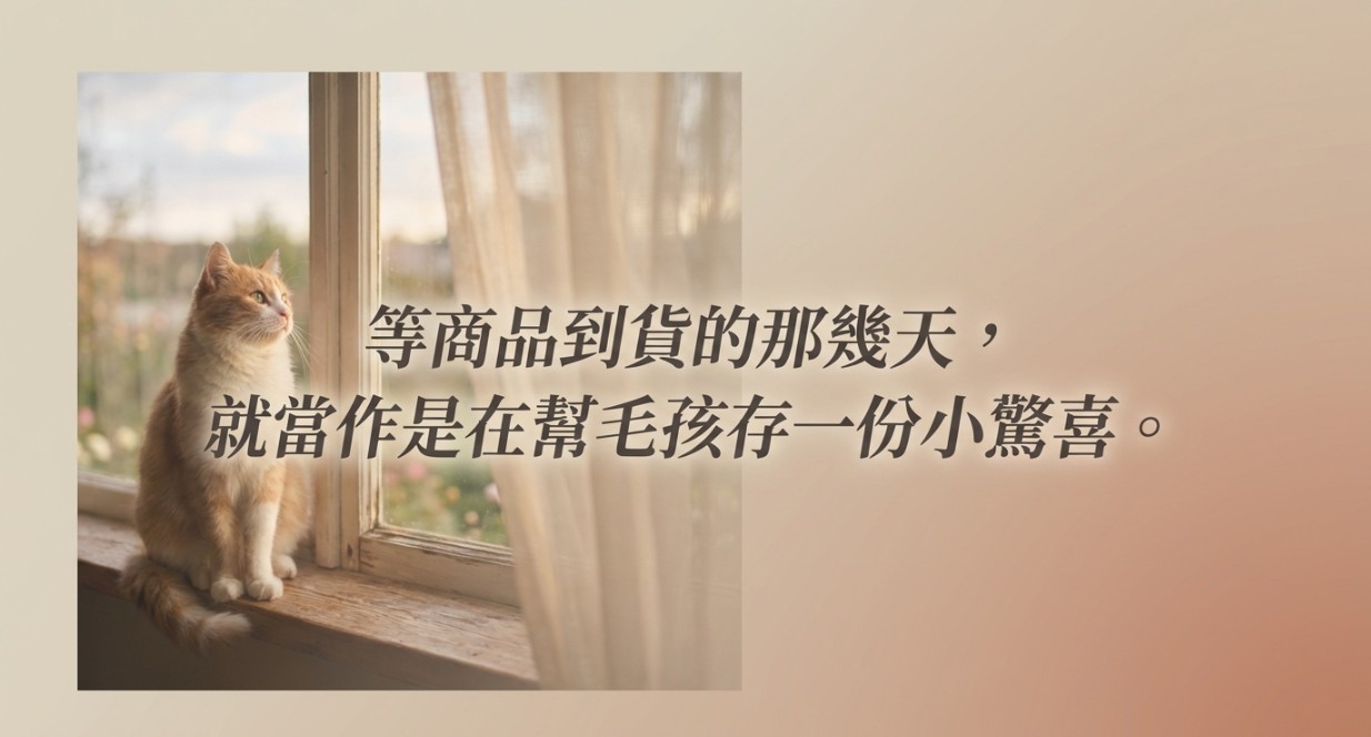 螢幕擷取畫面 2026-02-26 140900.jpg