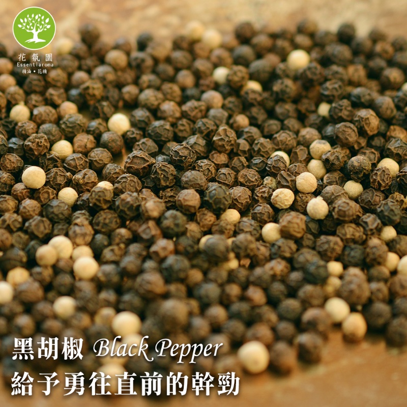 黑胡椒精油10ml 單方精油 所有商品 花氛園