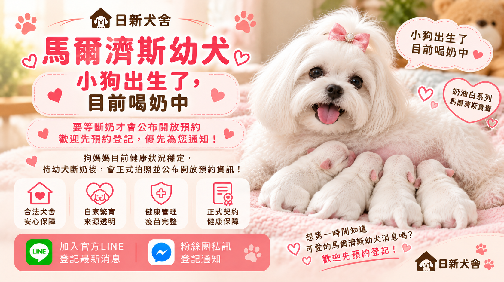 喝奶中