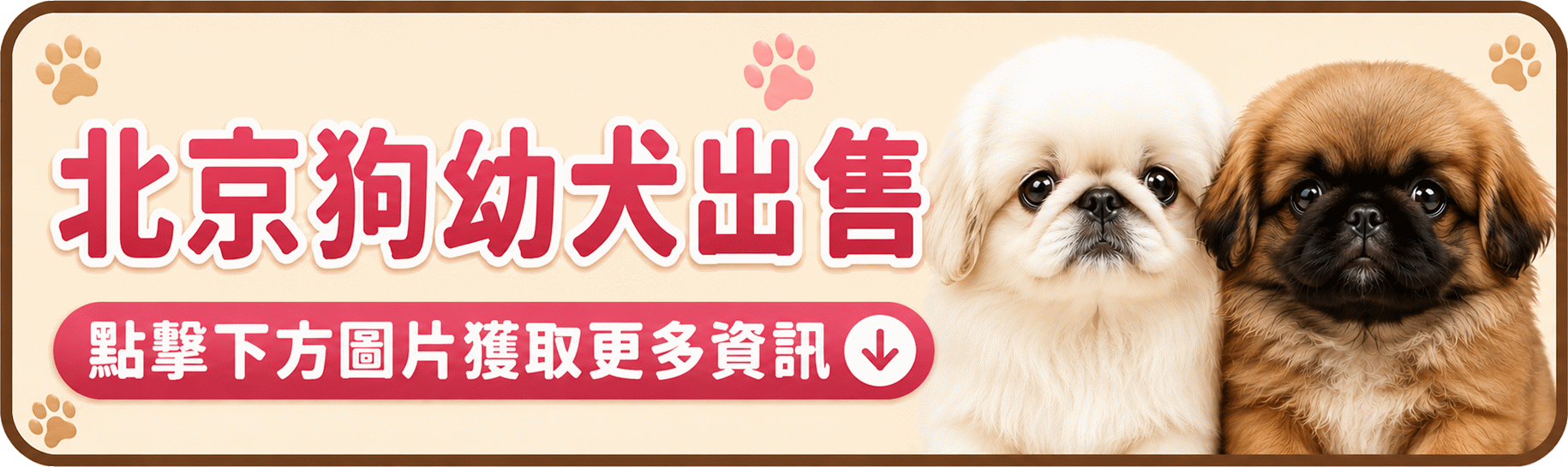 Pekingese.gif