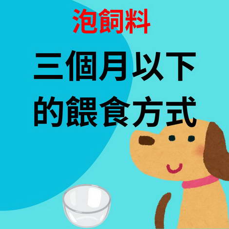 關於吃的飼料