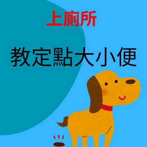 教狗大小便