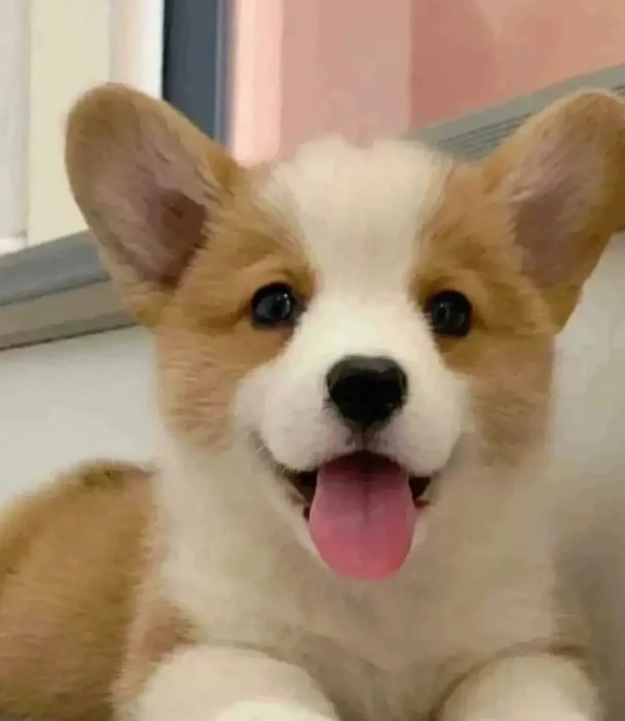 WeChat 截圖_20230307122039.png