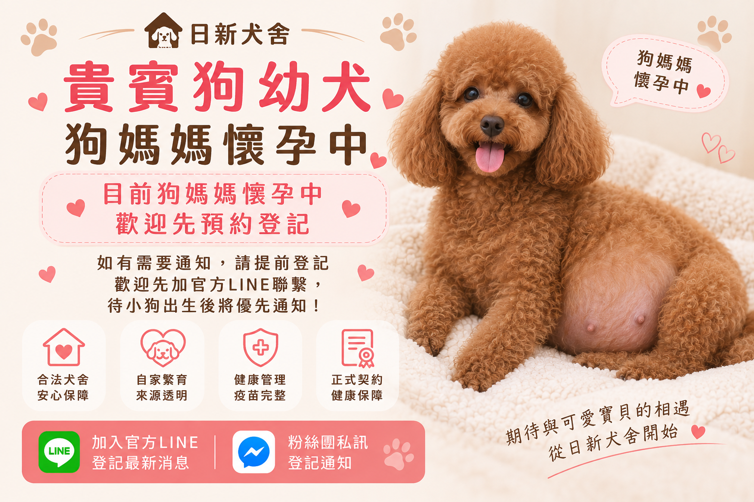 懷孕中