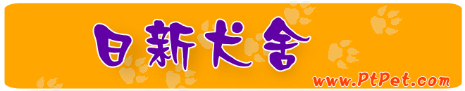 日新犬舍