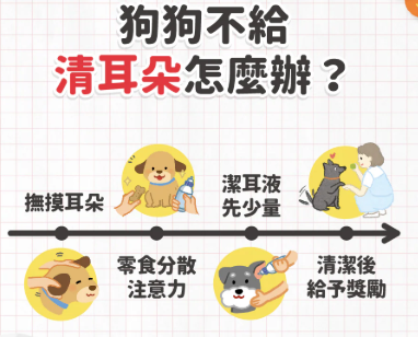 shiba-ear-cleaning-guide.jpg