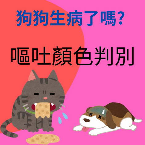 嘔吐顏色的判別