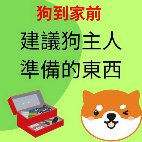 狗到家前