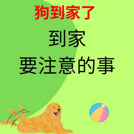 狗到家了