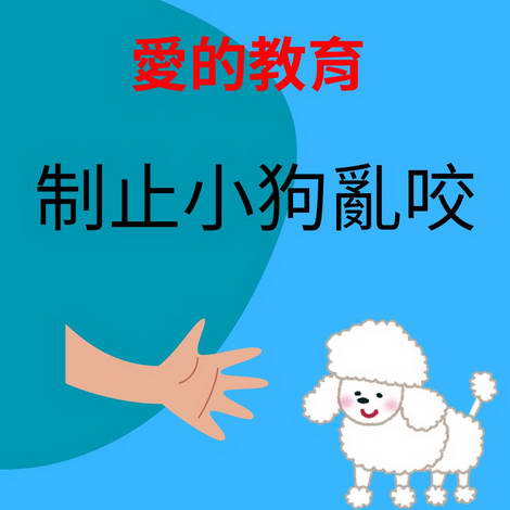制止小狗亂咬