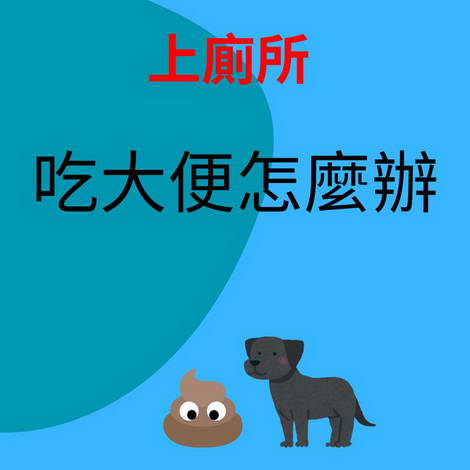 狗狗會吃便便怎麼辦