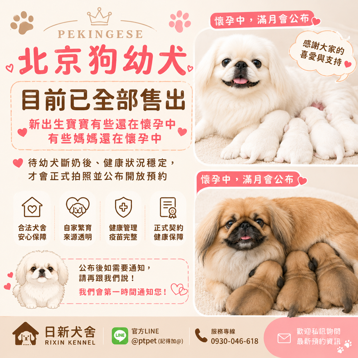 懷孕中