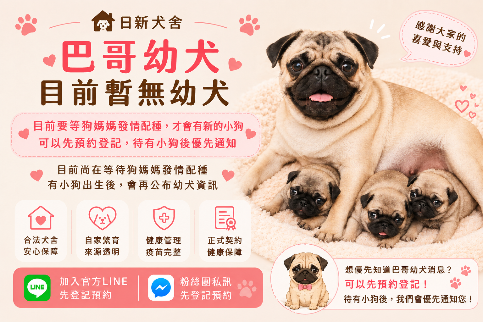 要等狗媽發情配種