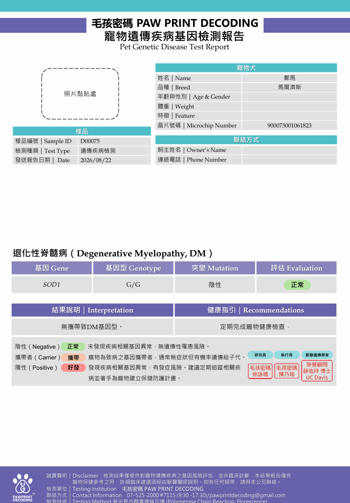 鄭馬DM 鄭馬DM