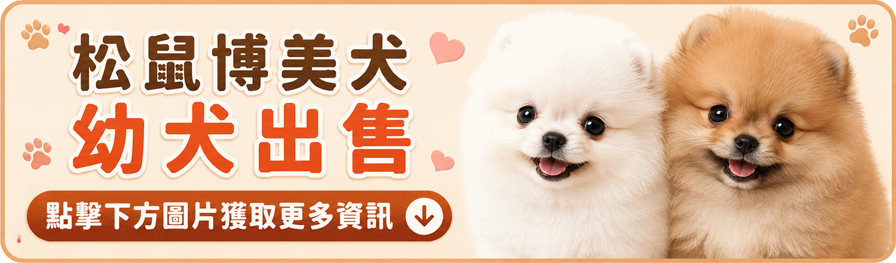pomeranian.gif